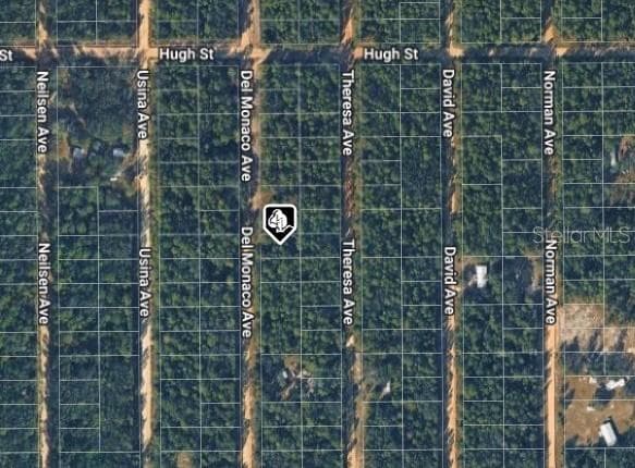 Land at 920 DEL MONACO AVE, INTERLACHEN, photo 3 of 3