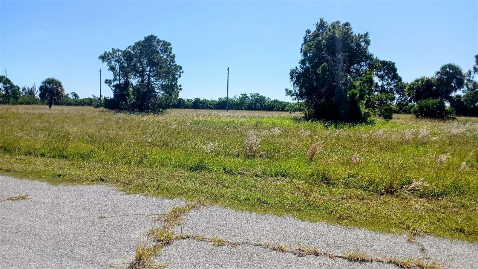 Land at 13732 WALLEYE WAY, PLACIDA, photo 2 of 3