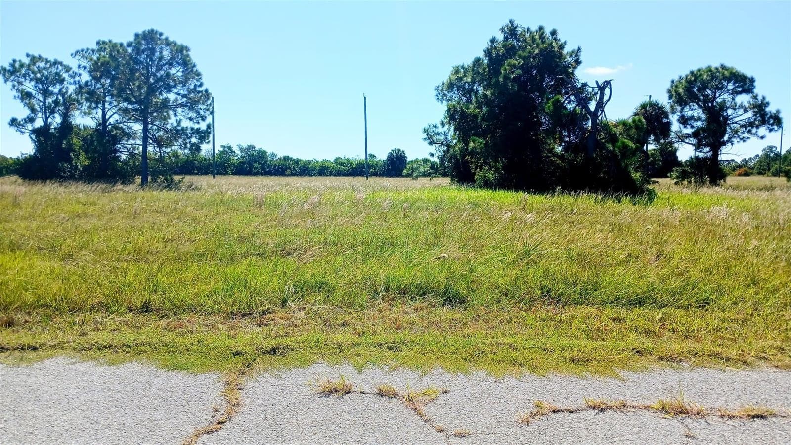 Land at 13732 WALLEYE WAY, PLACIDA, photo 3 of 3
