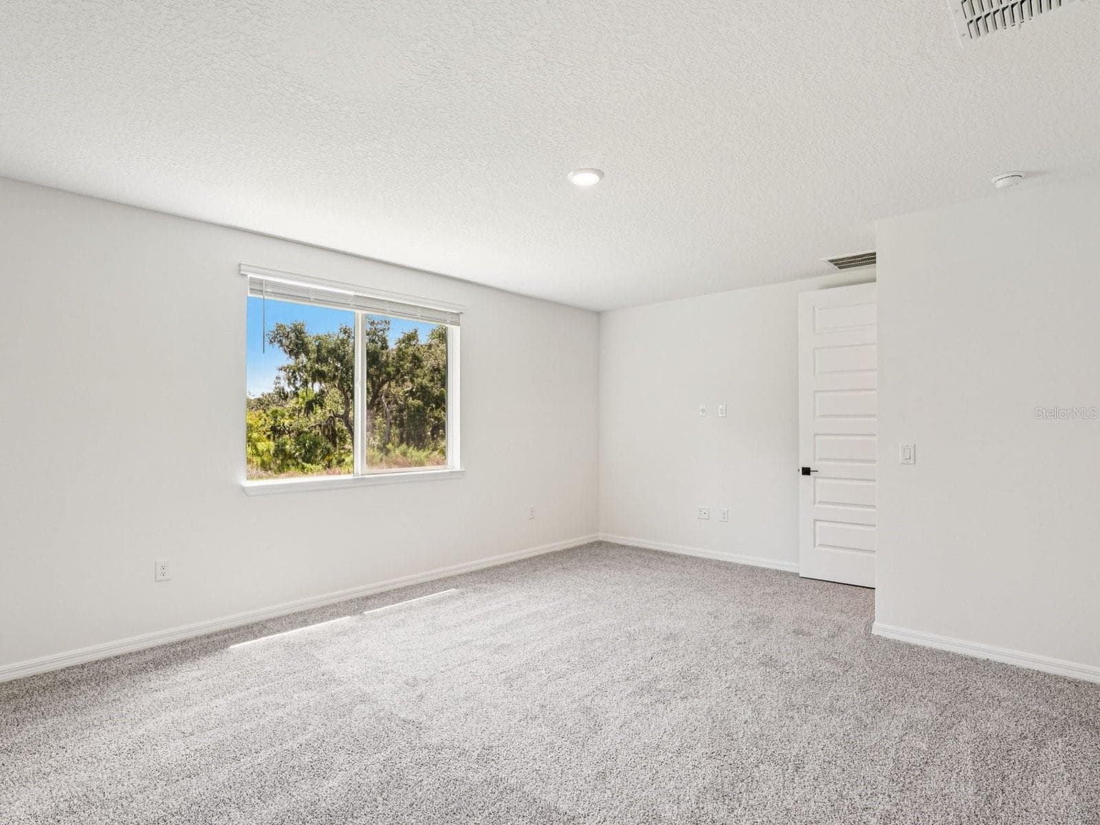 Single Family Residence at 10506 ABUNDANCE GROVE WAY, PARRISH, photo 10 of 11