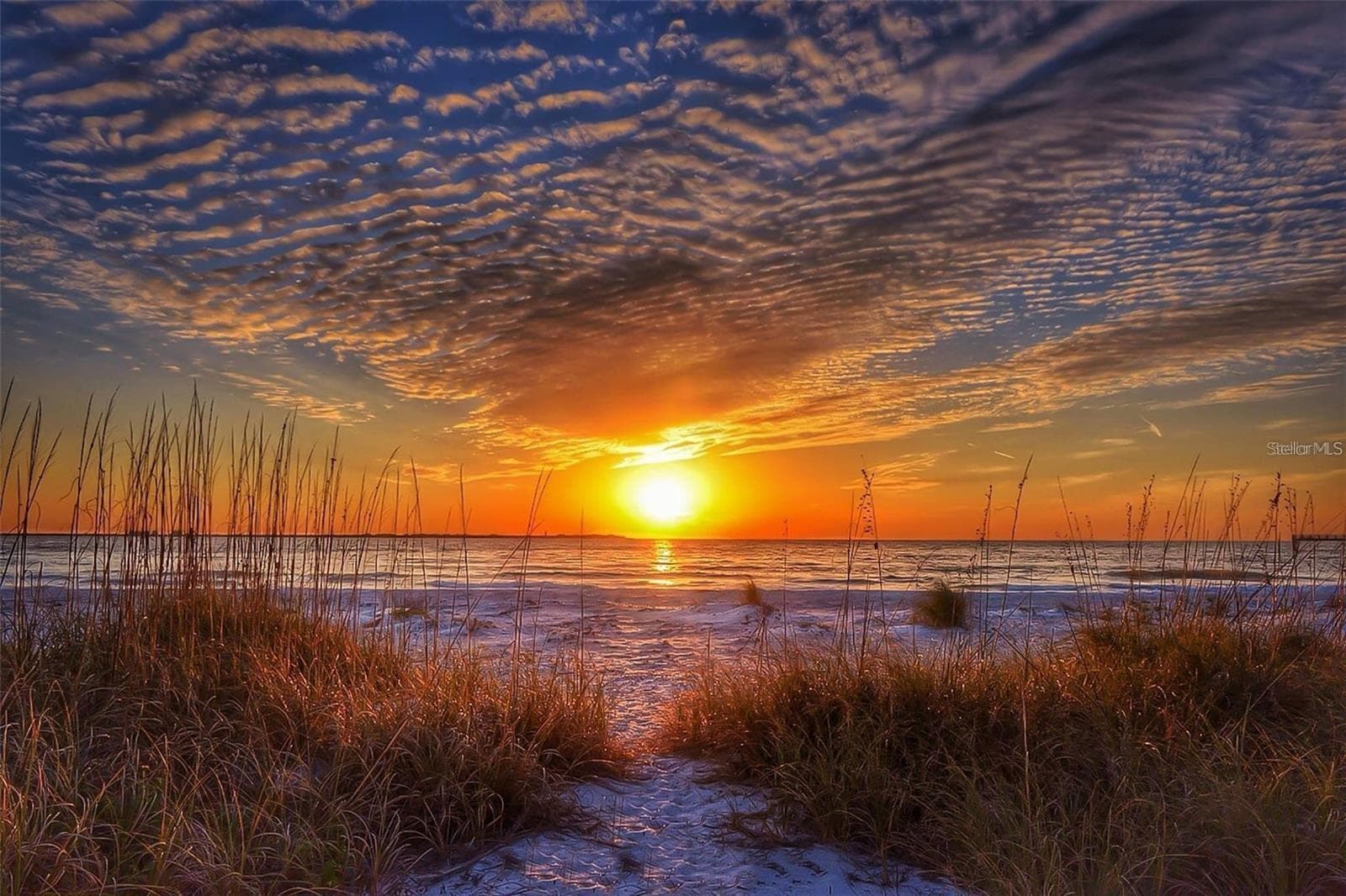 Spectacular Sunsets - 19201 VISTA LN #D2, INDIAN SHORES