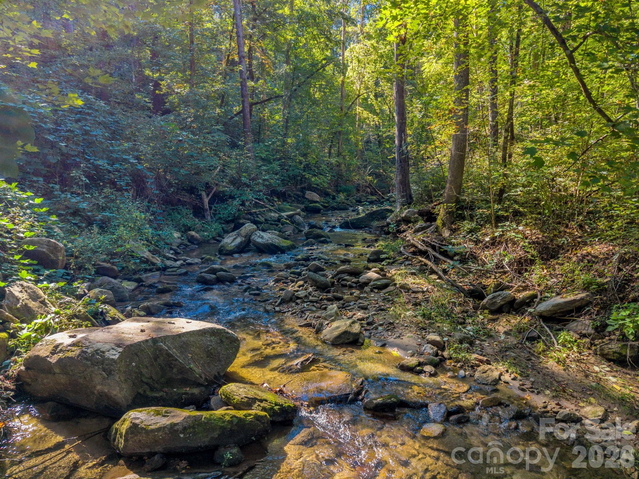 Bold creek from property - 127 Cattail Road, Lake Lure