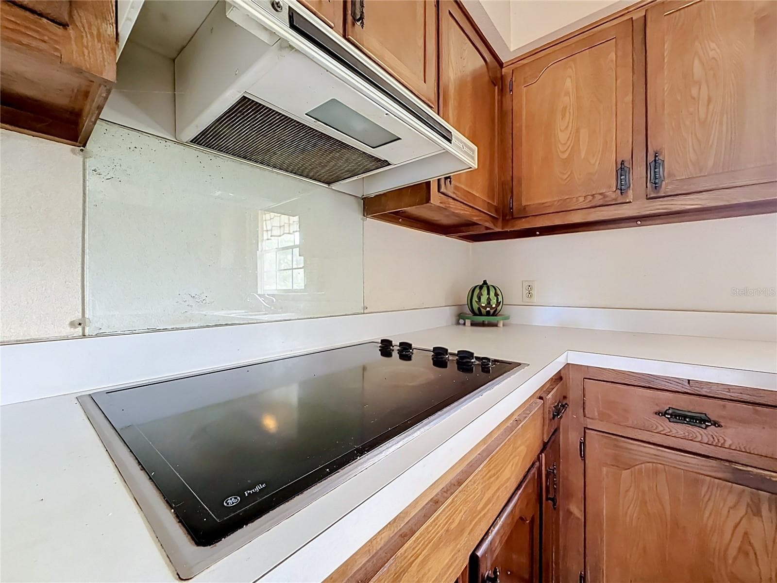 Single Family Residence at 8038 SPRING DR, YALAHA, photo 12 of 46