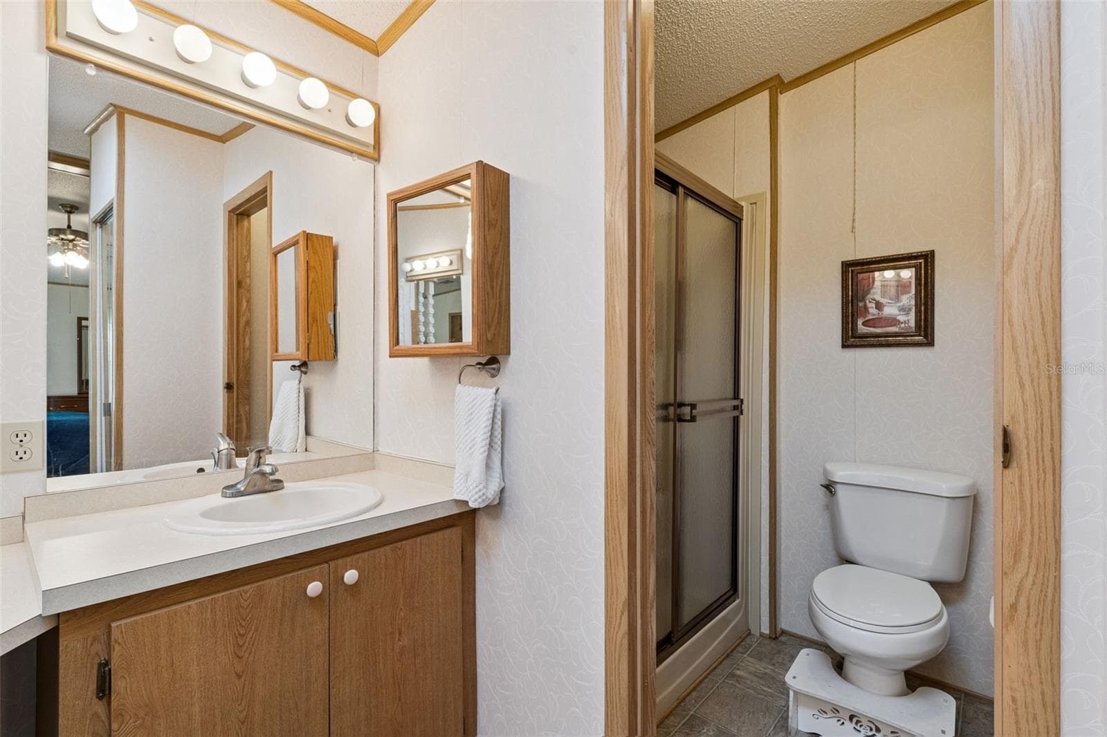 Primary bathroom with vanity, walk-in shower and private toilet area - 25038 CLIFFORD HL, LEESBURG