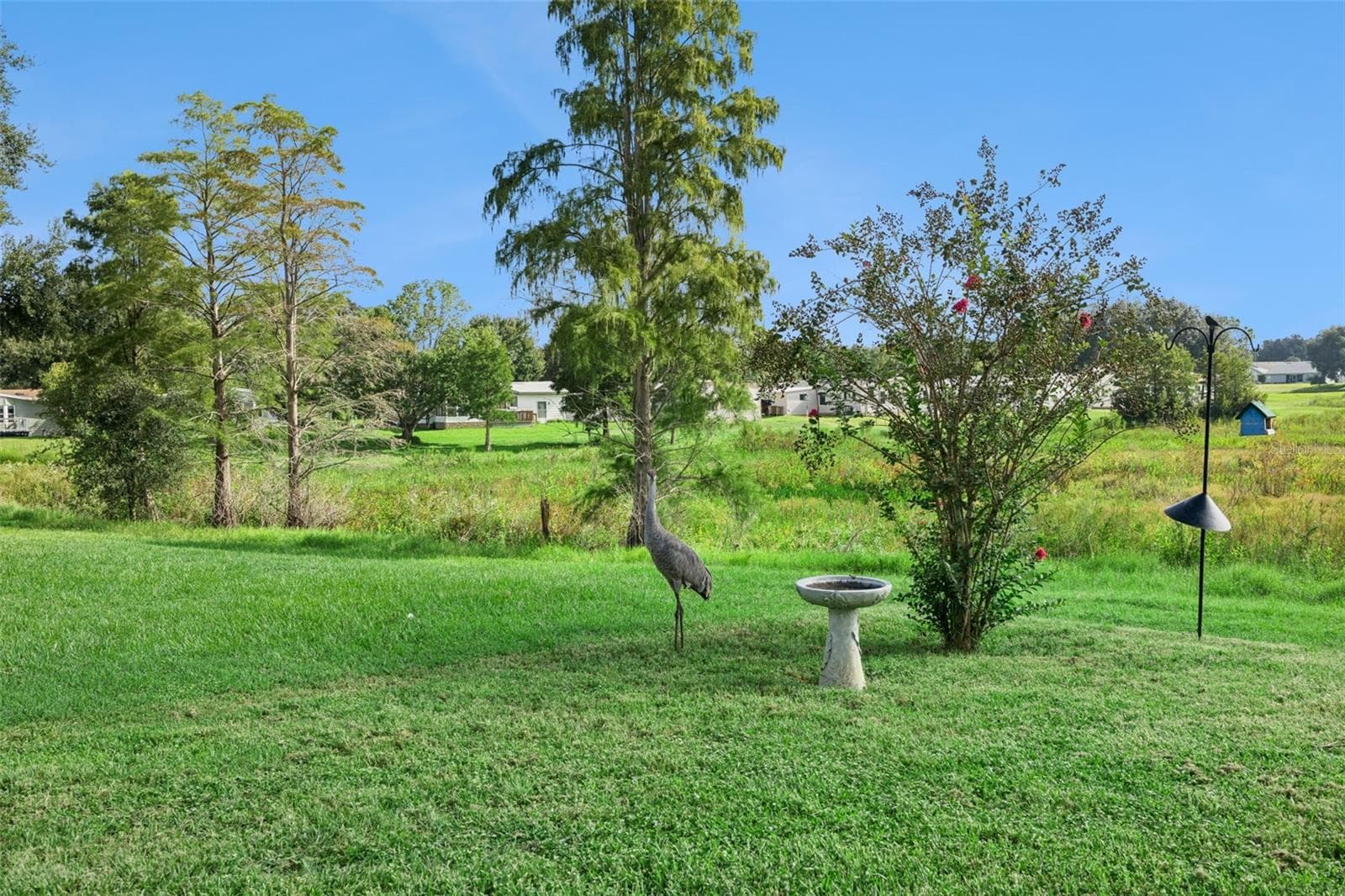 Backyard with birdbath and open view across the marsh - 25038 CLIFFORD HL, LEESBURG