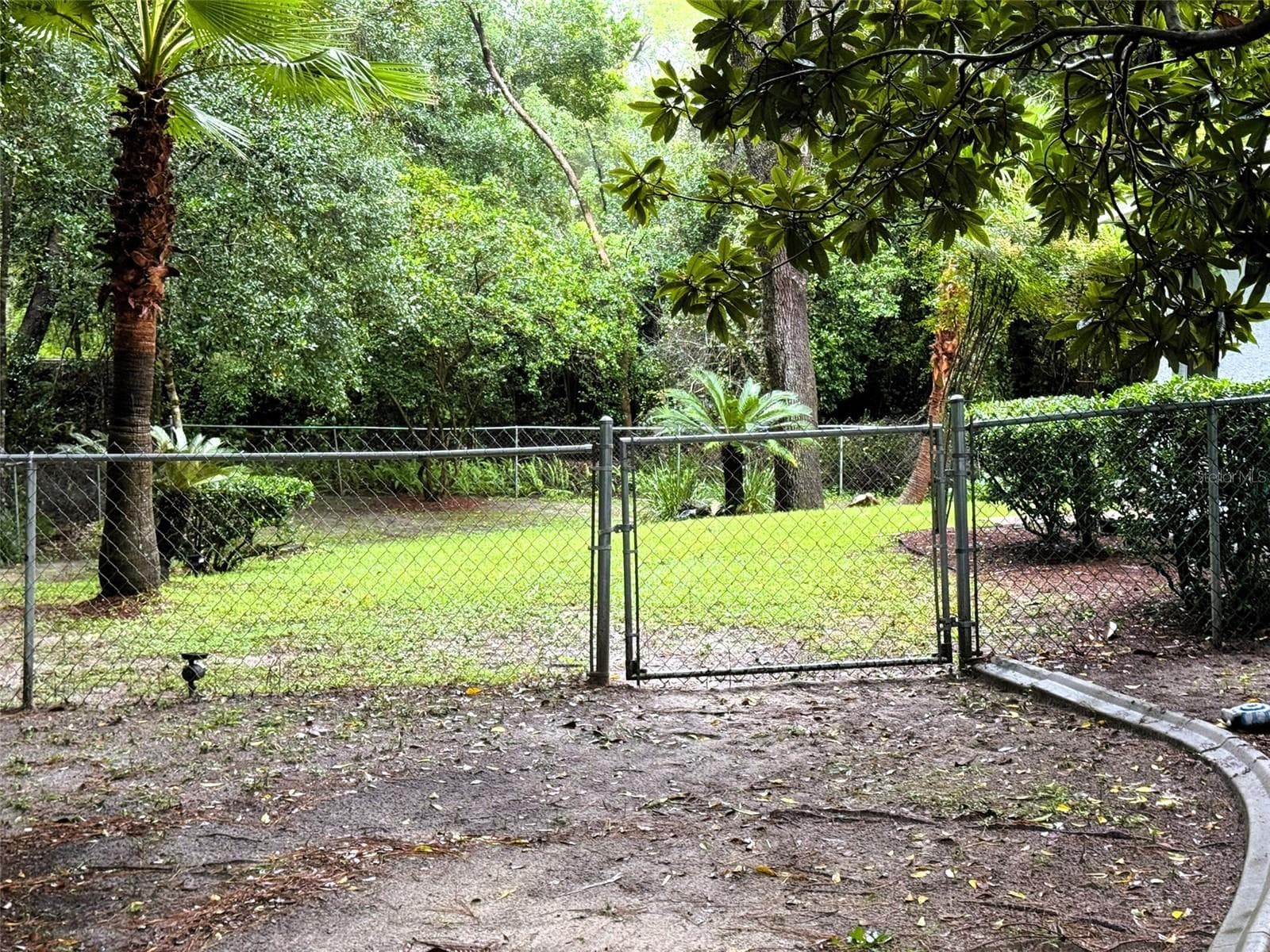 BACK YARD - 8879 N SANDREE DR, CITRUS SPRINGS