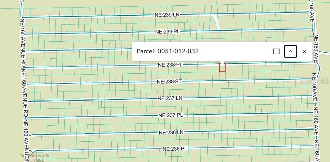 Land at NE 238TH PL, FORT MC COY, photo 2 of 2
