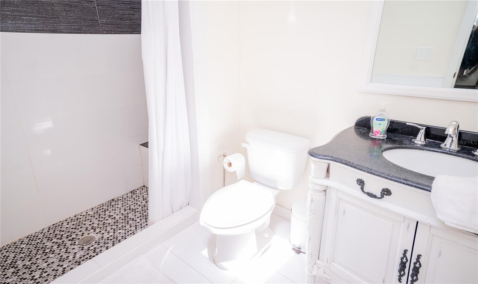 Primary bathroom featuring an ensuite layout and a skylight that fills the space with natural light. - 57 FORRESTER PL, PALM COAST
