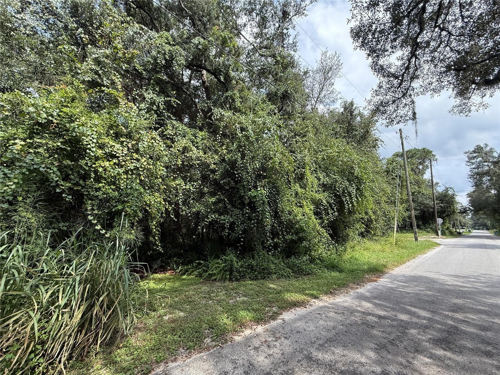 100 ft frontage Central Ave - 10TH ST, ORANGE CITY