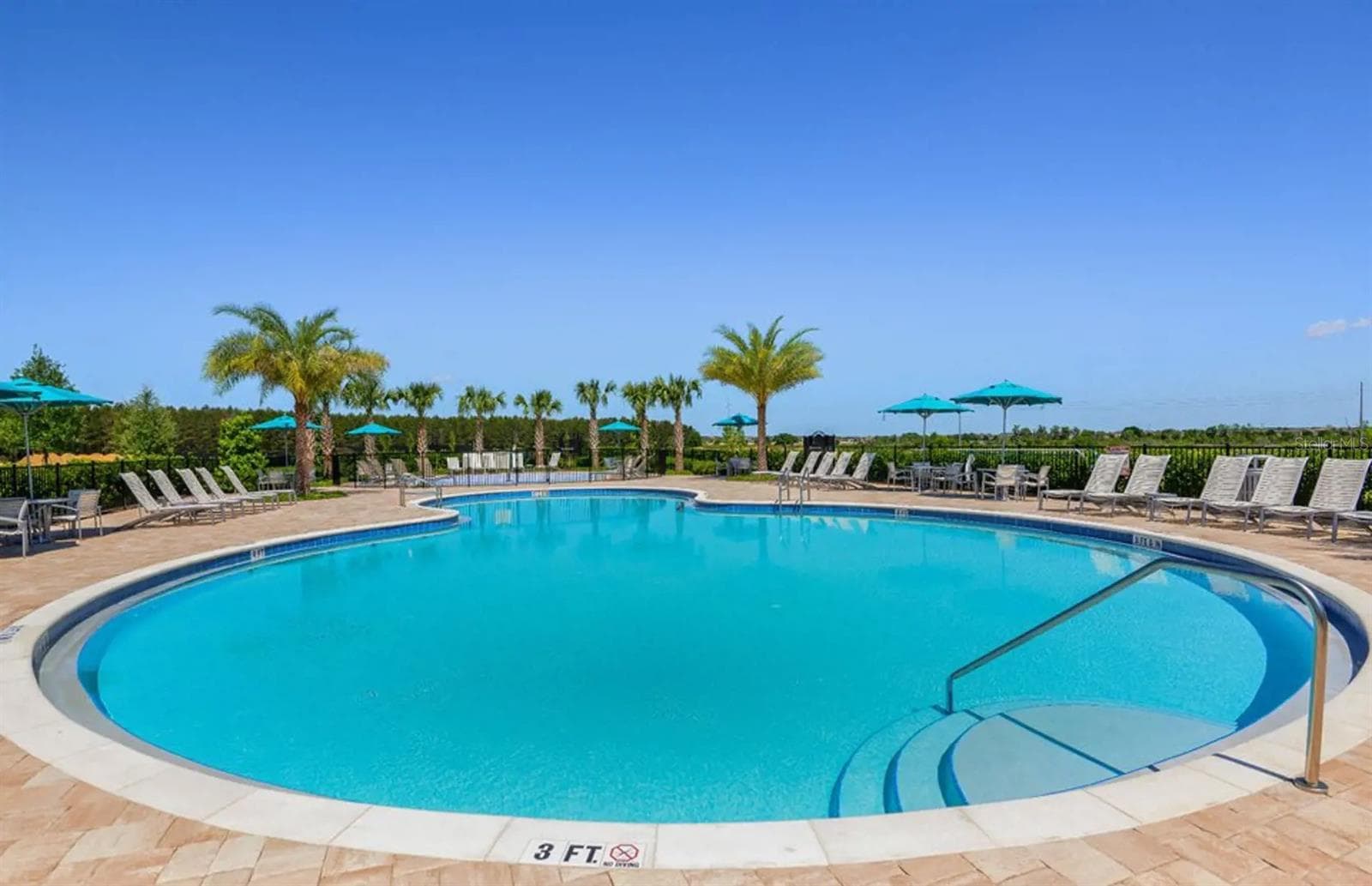Community pool - 14105 LARKSPUR LAKE DR, WINTER GARDEN