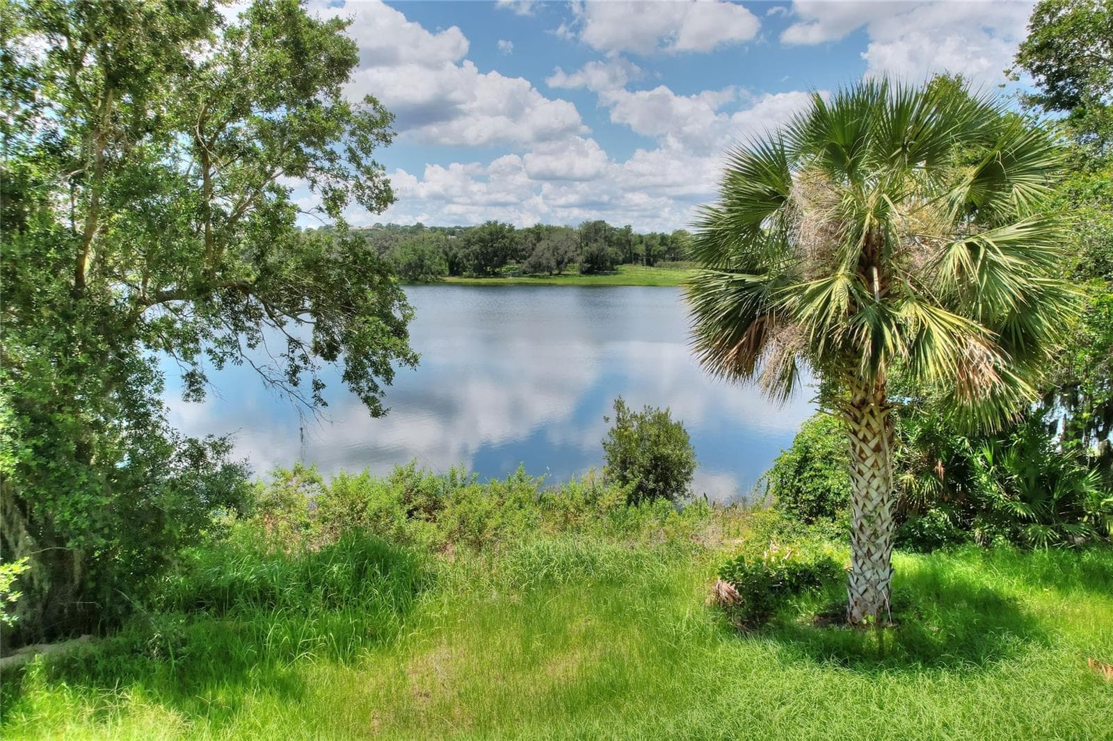 View from Lot 4 - 189 TRANQUIL MIRROR LAKE CT #Lot 4, CLERMONT