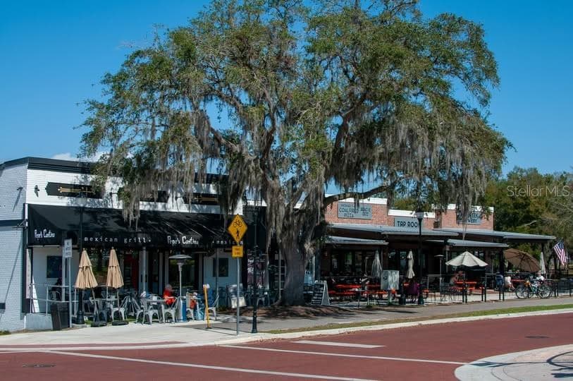 Just minutes from home – charming cafes, weekend markets, and lakeside dining await in downtown Clermont. - 189 TRANQUIL MIRROR LAKE CT #Lot 4, CLERMONT