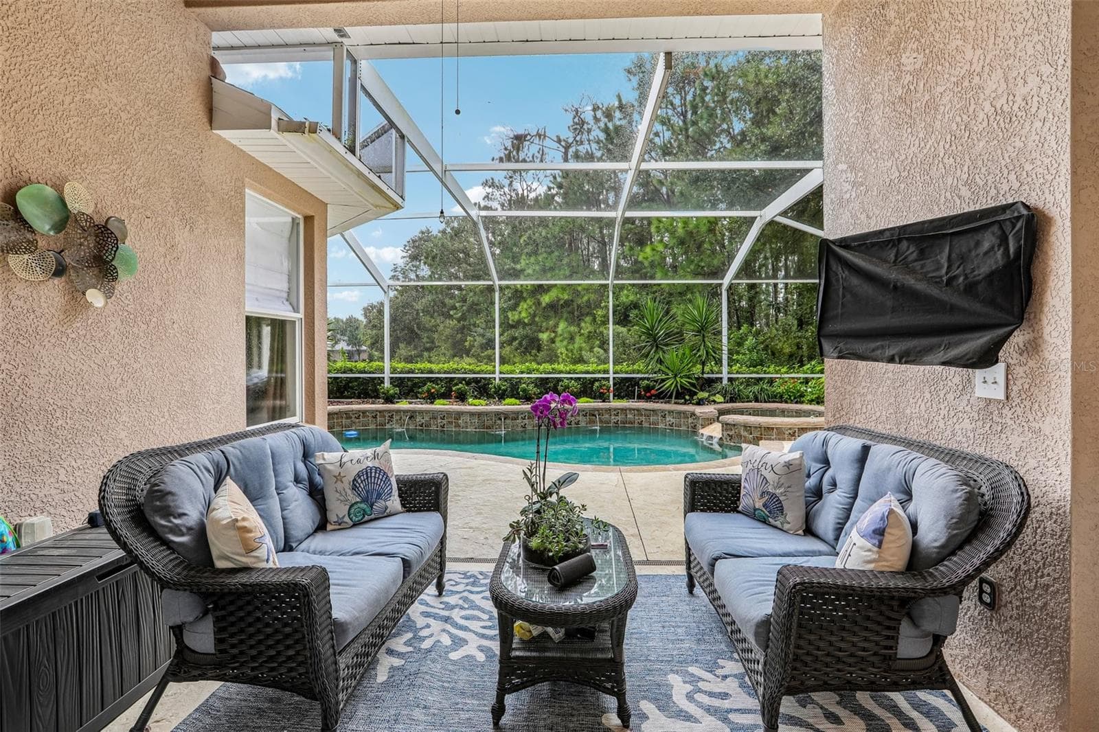 Lanai with TV & fan - 27443 MISTFLOWER DR, WESLEY CHAPEL
