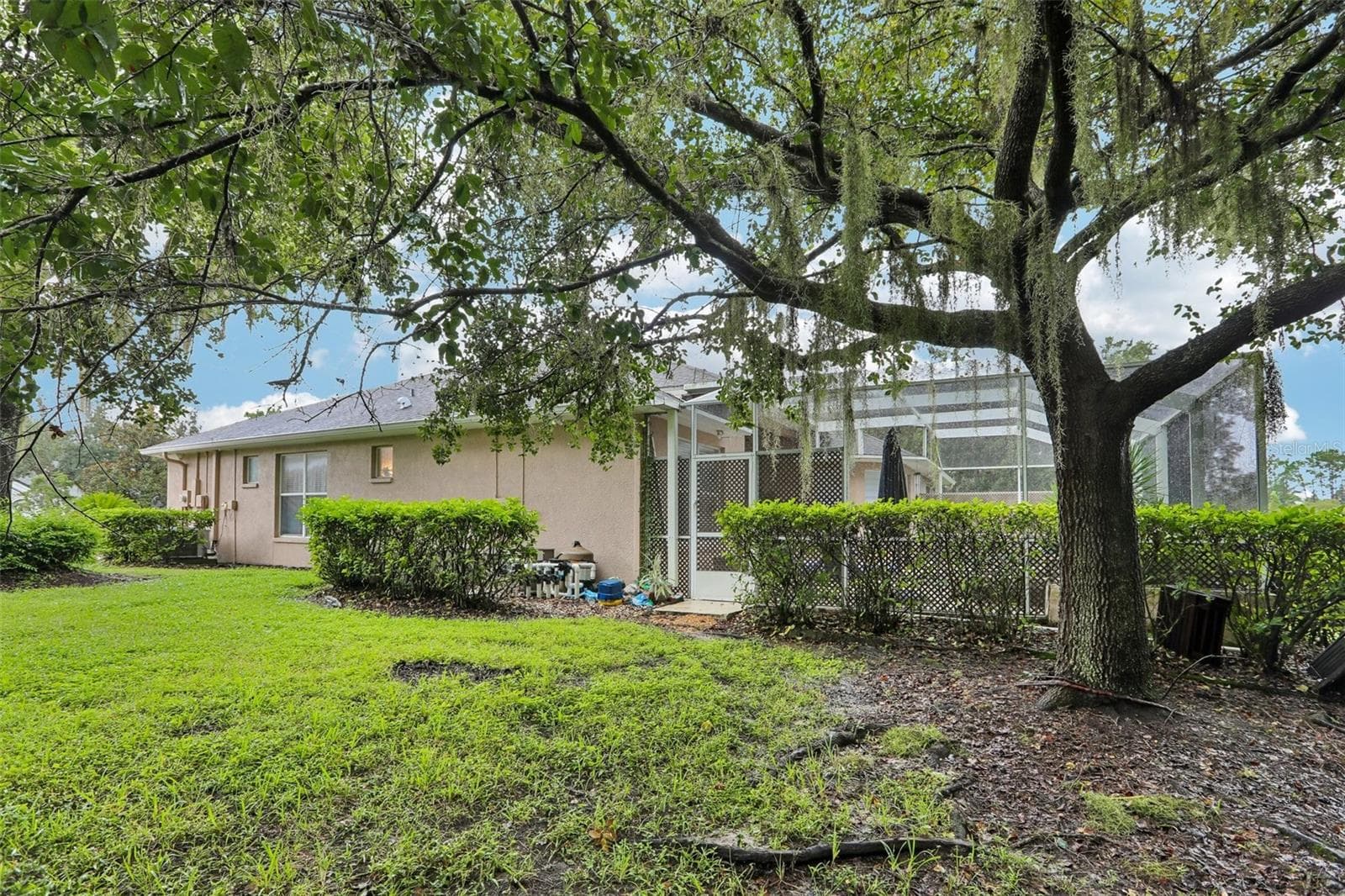 side of house - 27443 MISTFLOWER DR, WESLEY CHAPEL