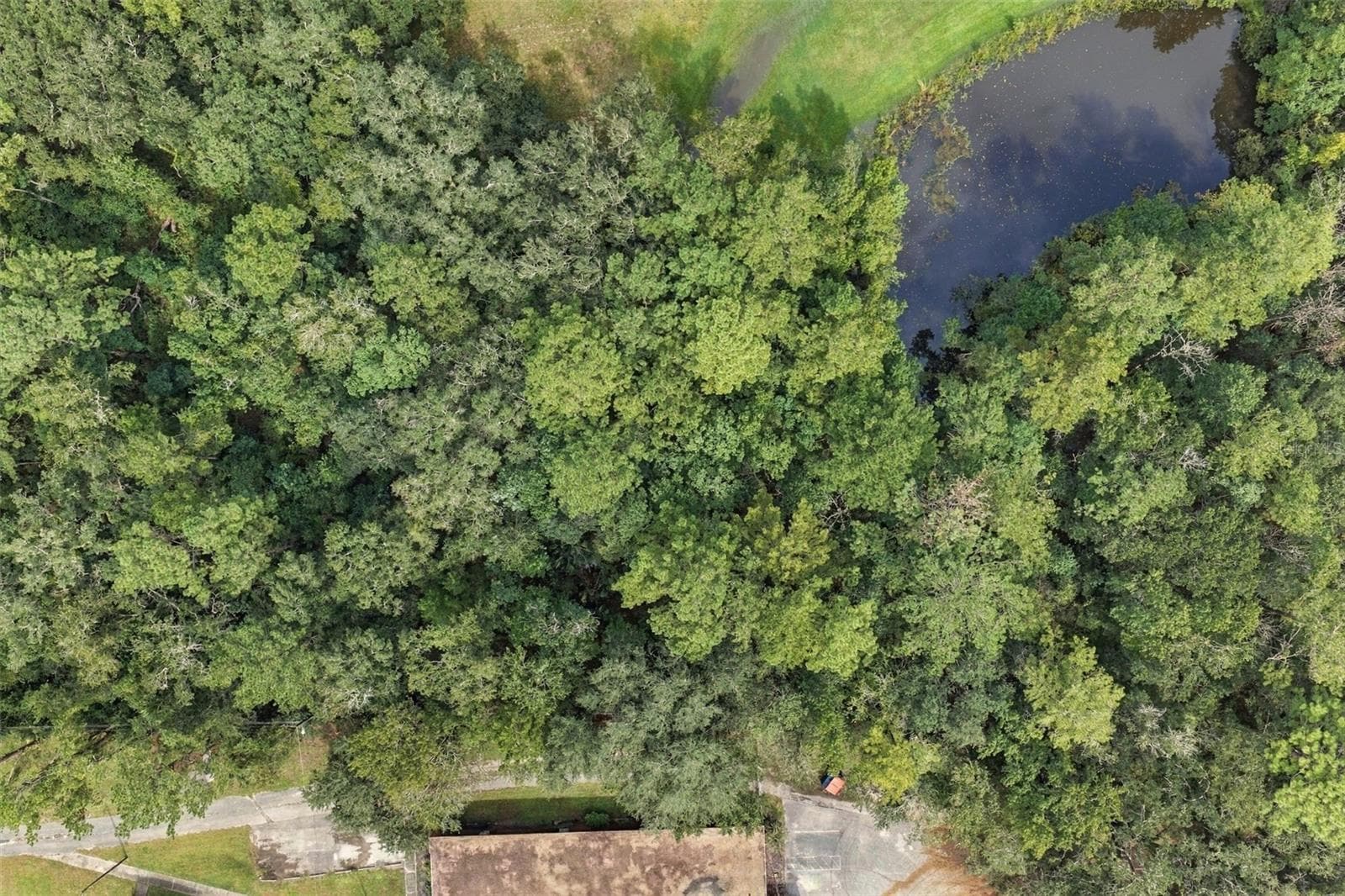Land at 000 EMERSON RD, BROOKSVILLE, photo 4 of 18
