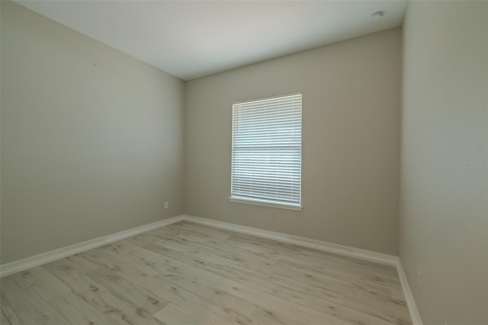 1st Floor Guest Bedroom BR1 - 29527 PICANA LN, WESLEY CHAPEL