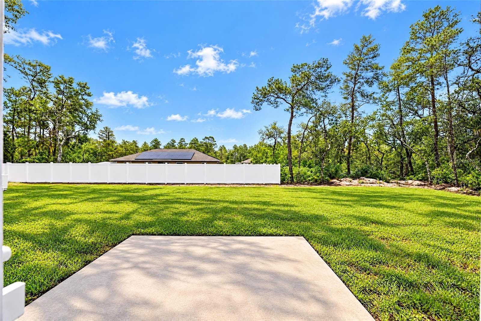 IS THIS BEAUTIFUL OR WHAT. FINISH FENCING INFOR HUGE BACK YARD - 3 FISHER WAY PL, OCKLAWAHA