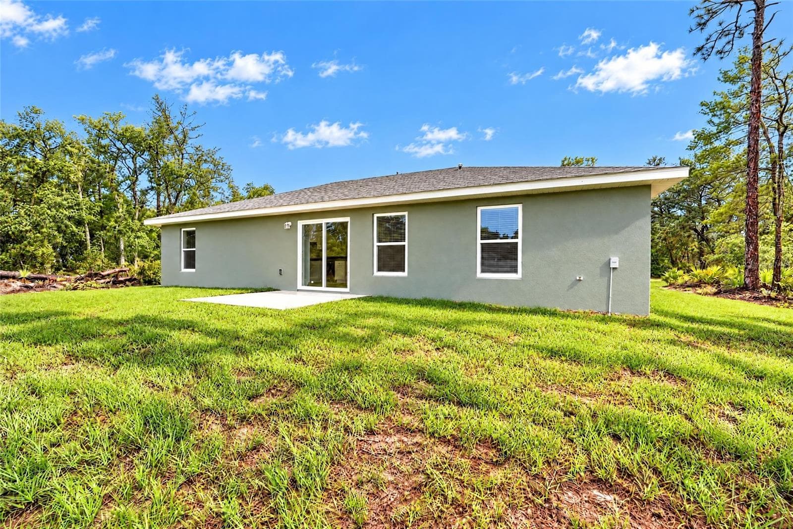 BACKYARD - 3 FISHER WAY PL, OCKLAWAHA