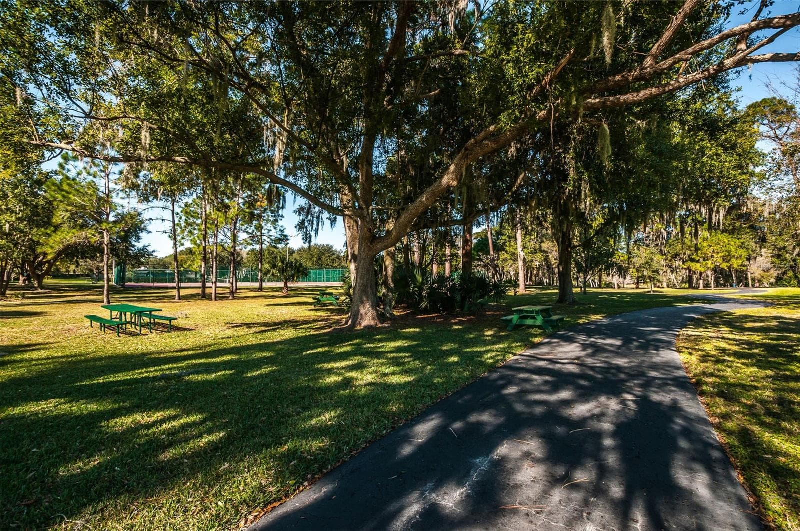 Single Family Residence at 520 SANDY HOOK RD, PALM HARBOR, photo 64 of 78