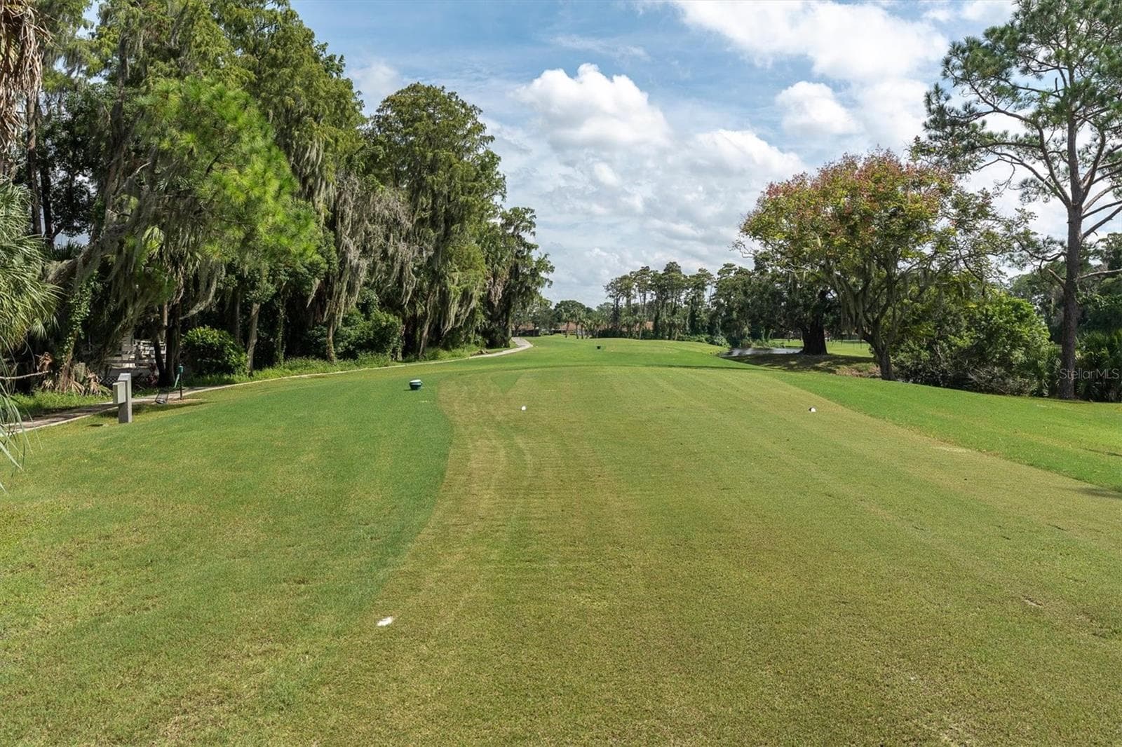 golf hole in your backyard - 9126 BASSETT LN, NEW PORT RICHEY