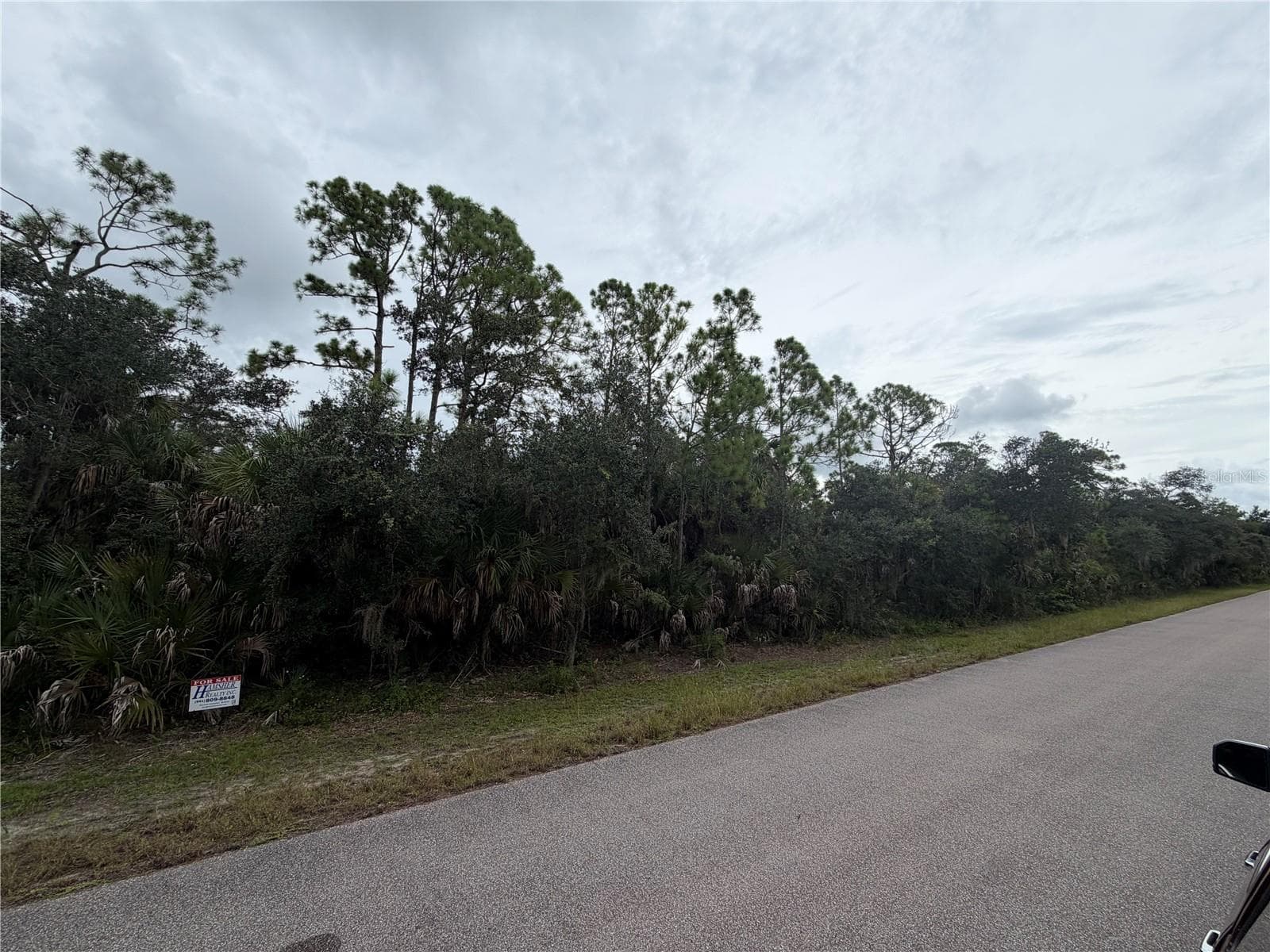 Land at 14112 GAILWOOD AVE, PORT CHARLOTTE, photo 4 of 12
