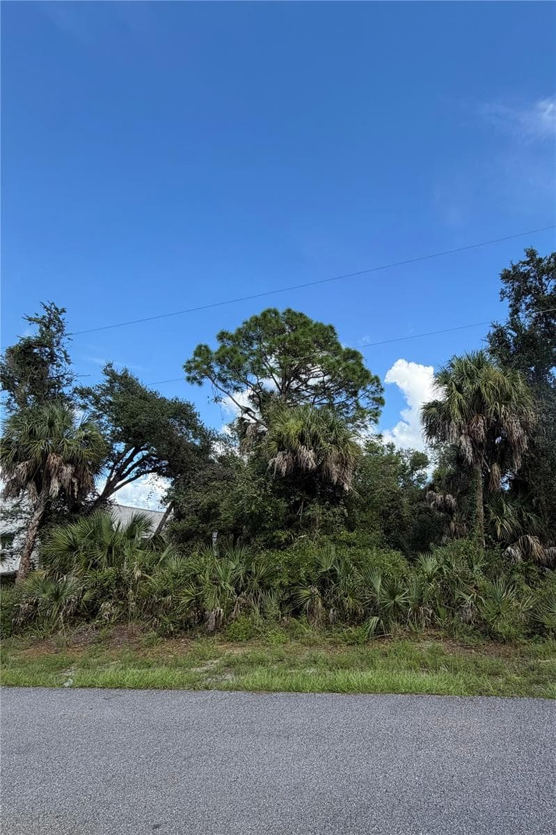 Land at 272 KRIEGER ST, PORT CHARLOTTE, photo 2 of 3