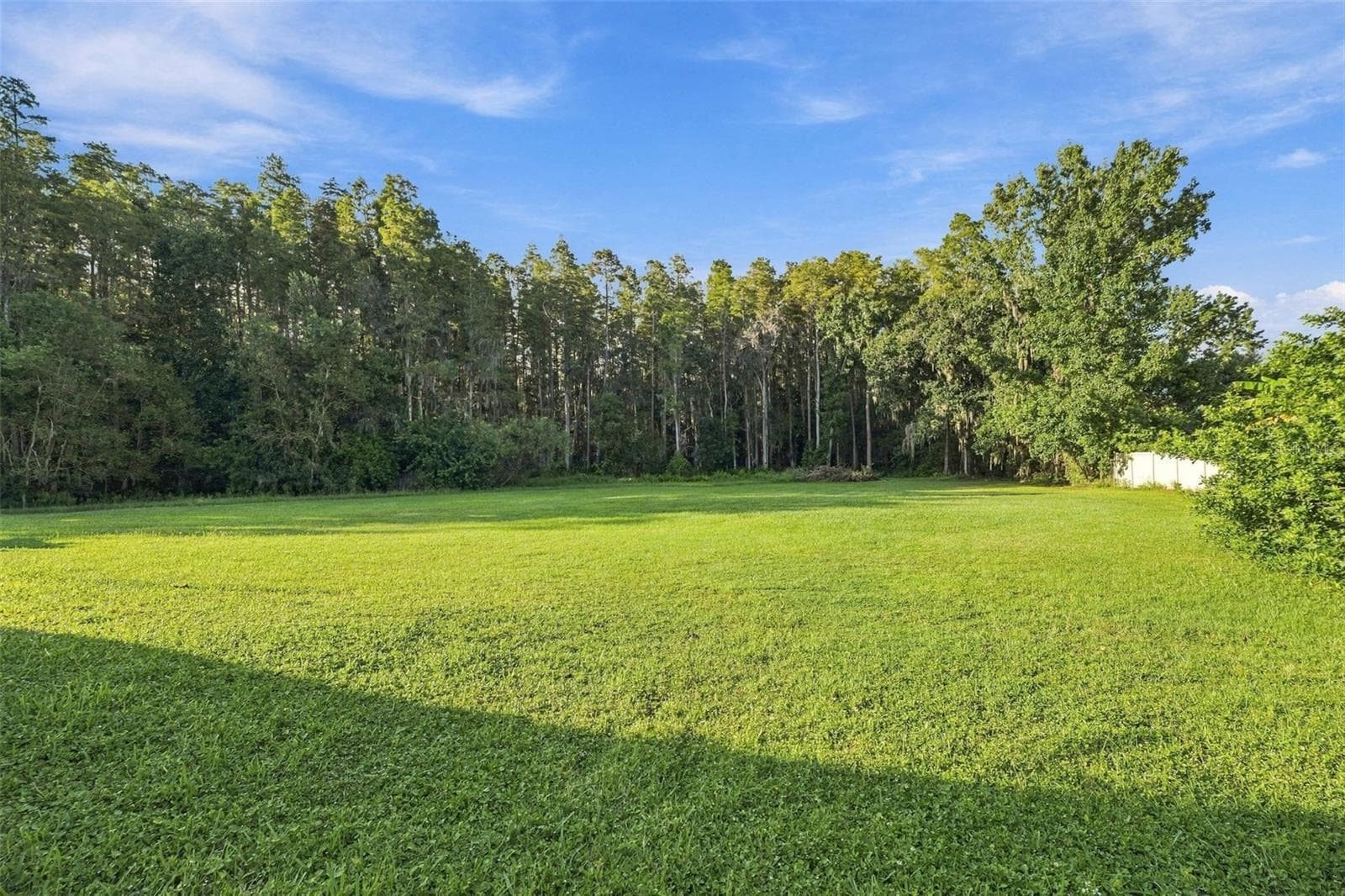 Single Family Residence at 19153 GERACI RD, LUTZ, photo 53 of 57