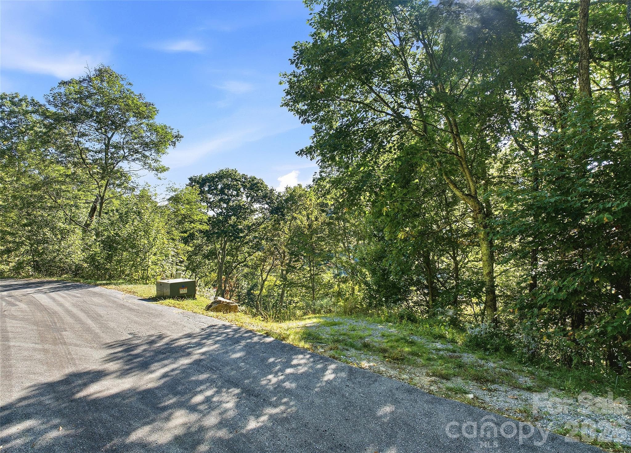 Lot at 270 Olli Trail, Maggie Valley, photo 7 of 20