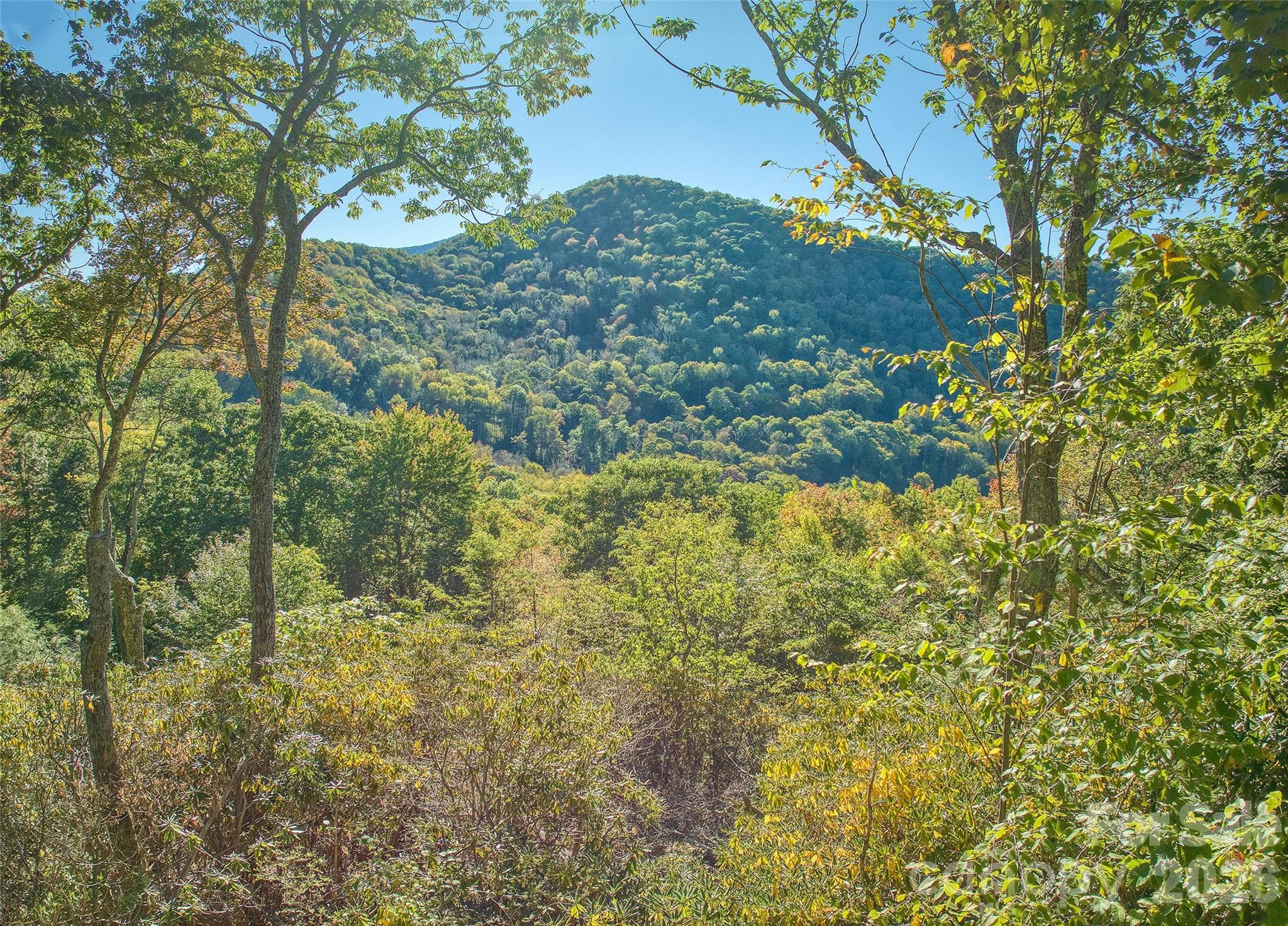 Lot at 270 Olli Trail, Maggie Valley, photo 13 of 20