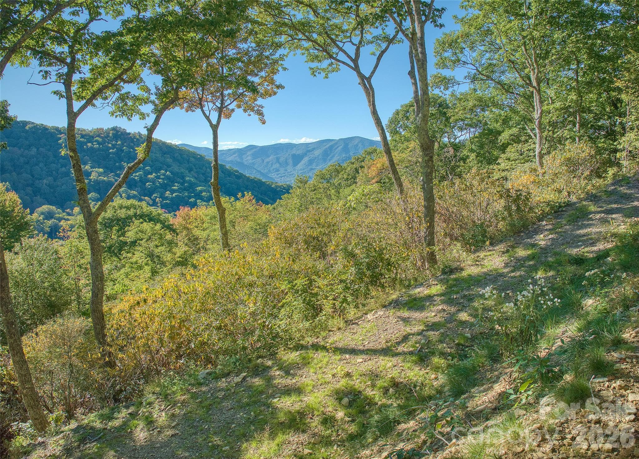 Lot at 270 Olli Trail, Maggie Valley, photo 14 of 20
