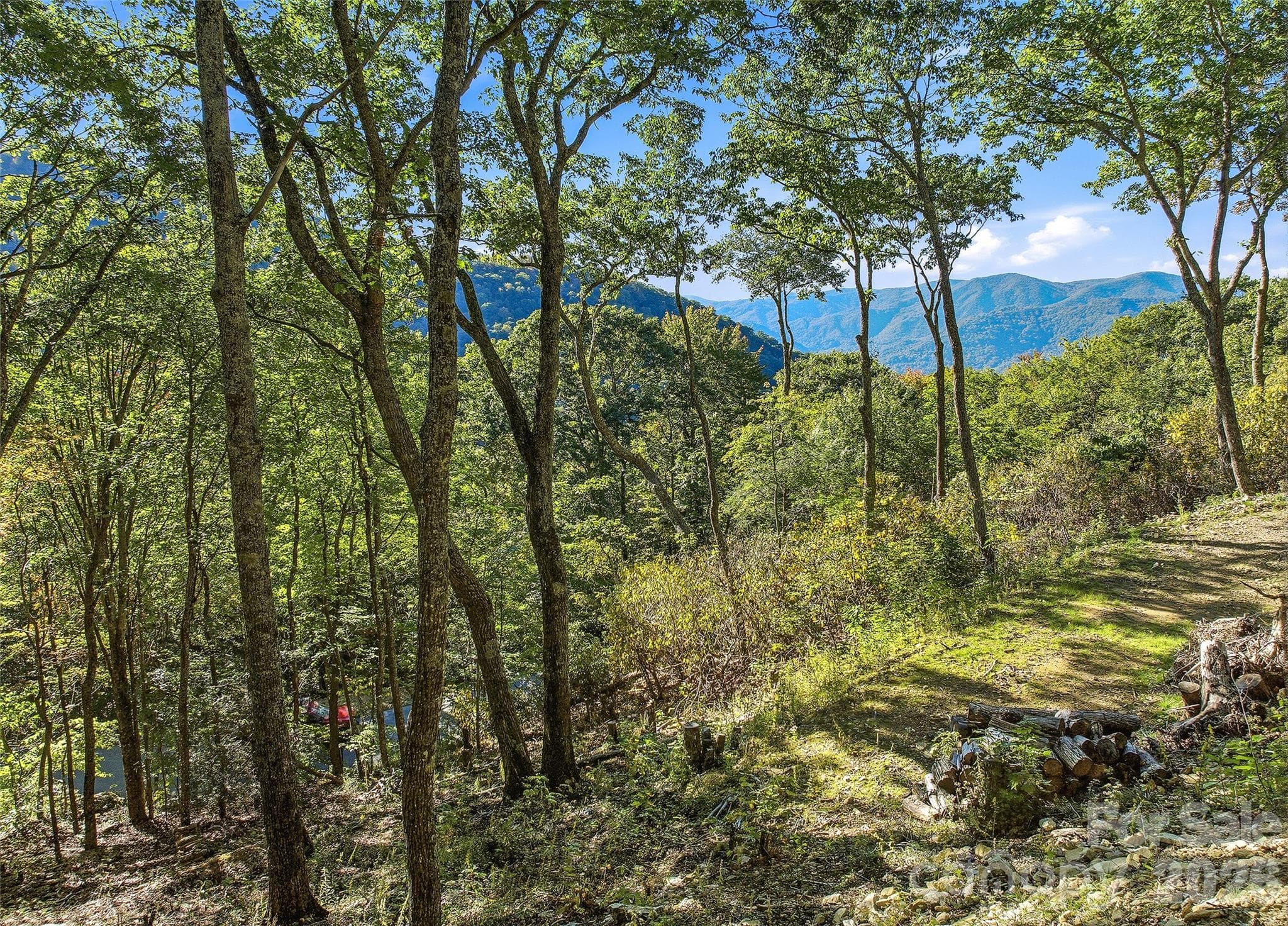 Lot at 270 Olli Trail, Maggie Valley, photo 15 of 20