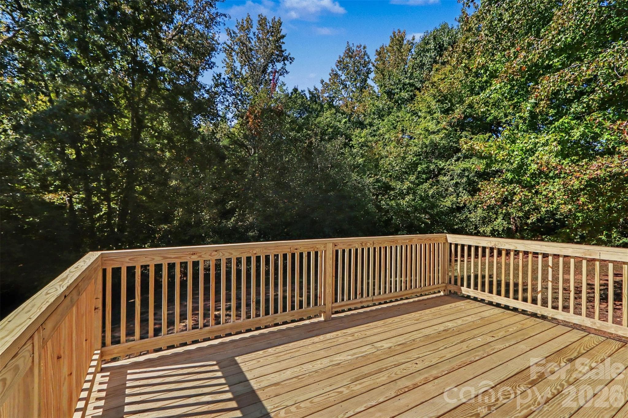 Back Deck - 3560 New Potato Drive, Kannapolis