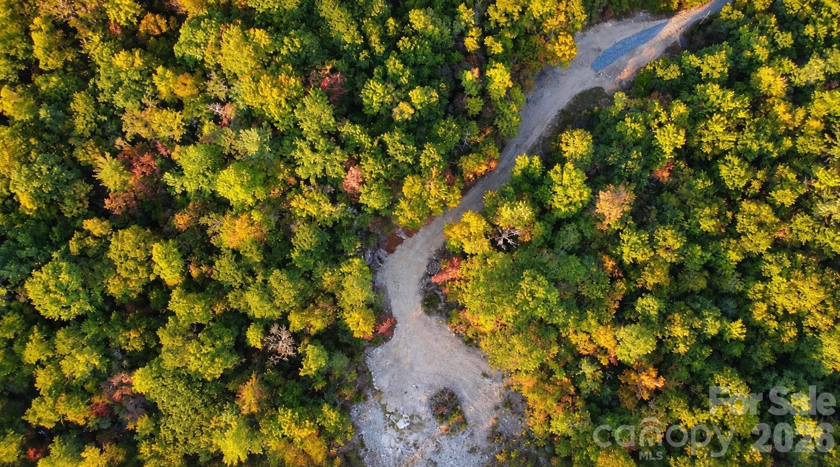 Overhead aerial view showing the private driveway and cleared homesite. - 000 Bulling Creek Road, Penrose