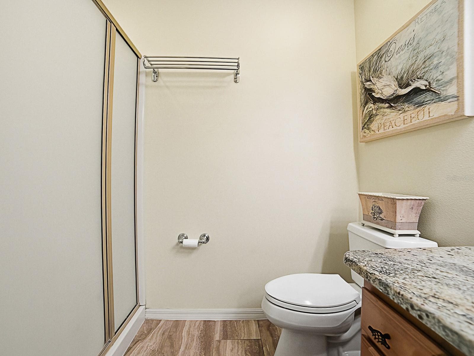 Master bedroom -walk in shower - 1530 BARNWELL PL, THE VILLAGES