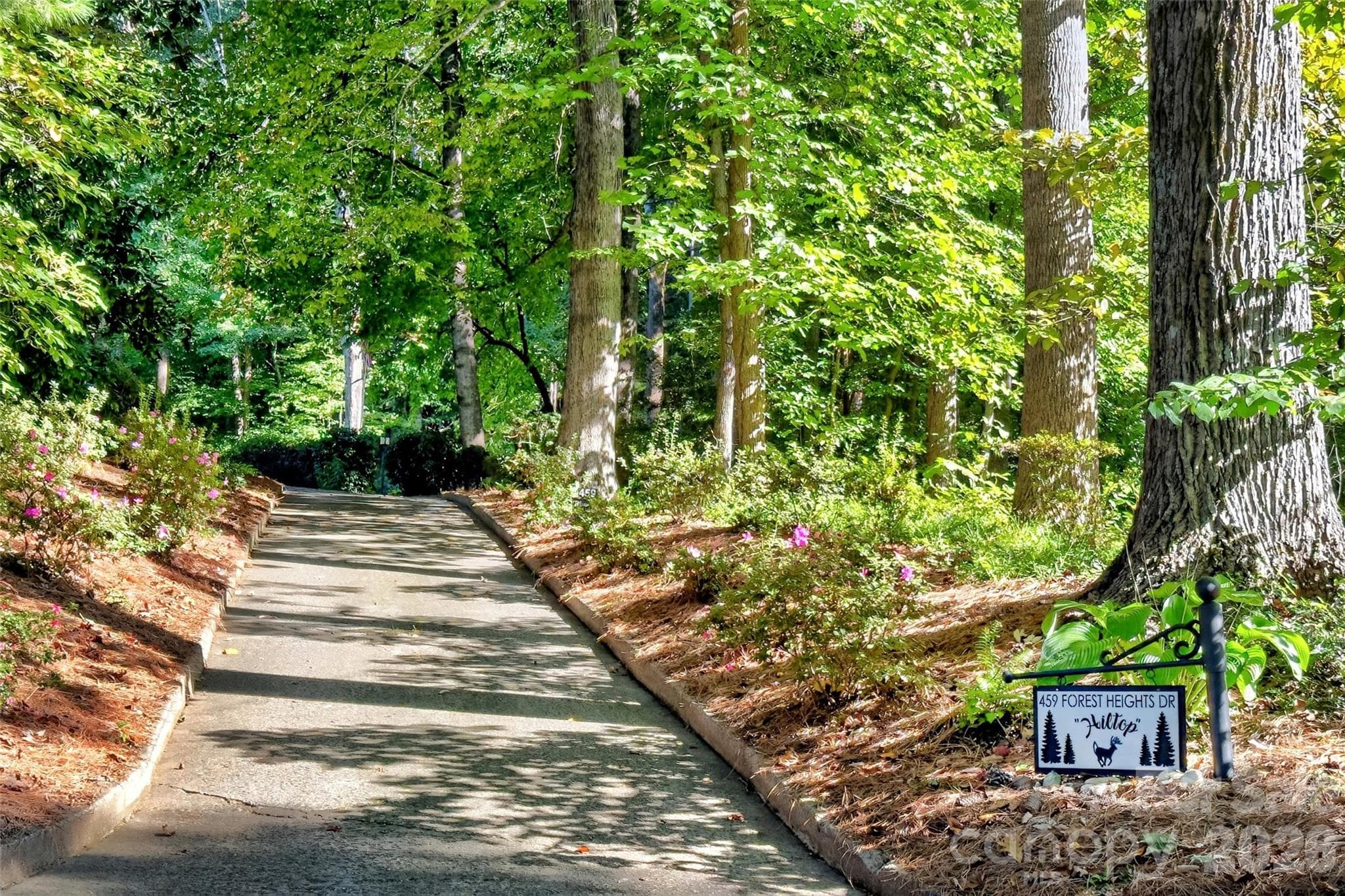 Entrance - 459 Forest Heights Drive, Marion