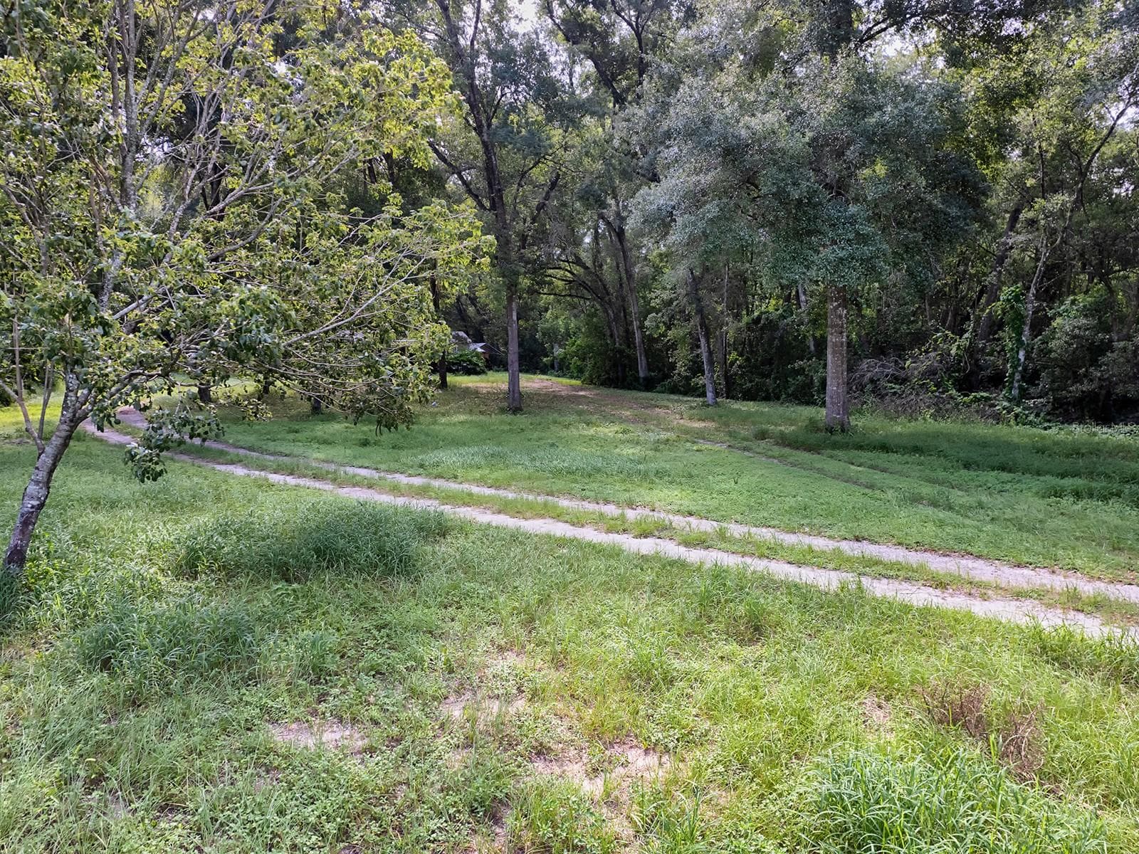 Ground Pics - 4905 Plymouth Sorrento Road - 4905 PLYMOUTH SORRENTO RD, APOPKA