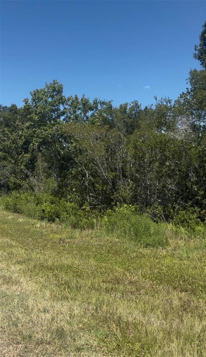 Land at 2836 W STARR RD, AVON PARK, photo 2 of 2