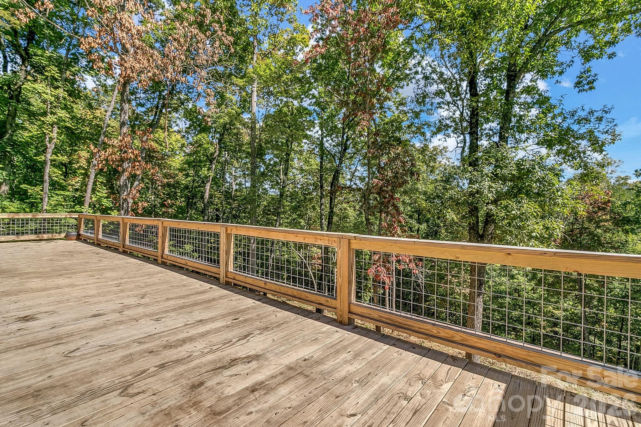 Single Family Residence at 135 Bald Eagle Drive, Hendersonville, photo 18 of 41