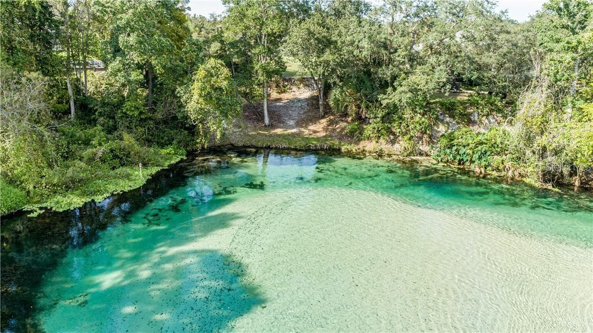 Single Family Residence at 7258 LOBLOLLY CT, WEEKI WACHEE, photo 94 of 96