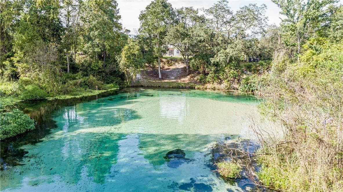 Single Family Residence at 7258 LOBLOLLY CT, WEEKI WACHEE, photo 95 of 96