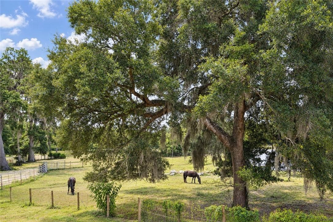 Primary Bedroom - 4450 E windmill DR #206, INVERNESS FL 34453, Inverness