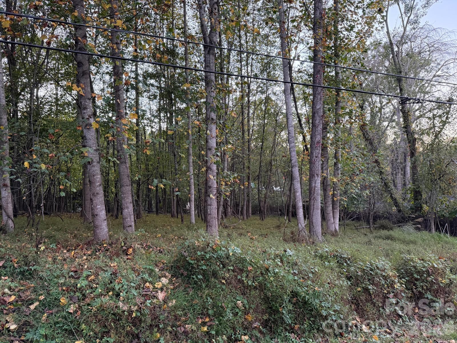 Lot at 0 Sandhurst Drive, Asheville, photo 3 of 15