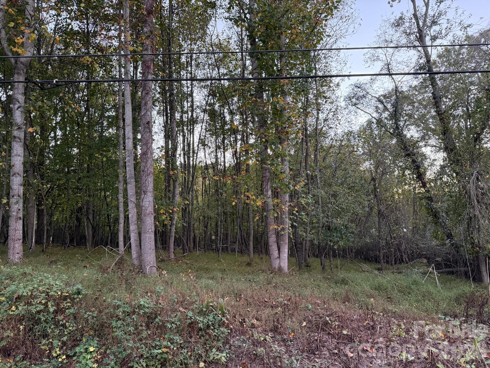 Lot at 0 Sandhurst Drive, Asheville, photo 4 of 15