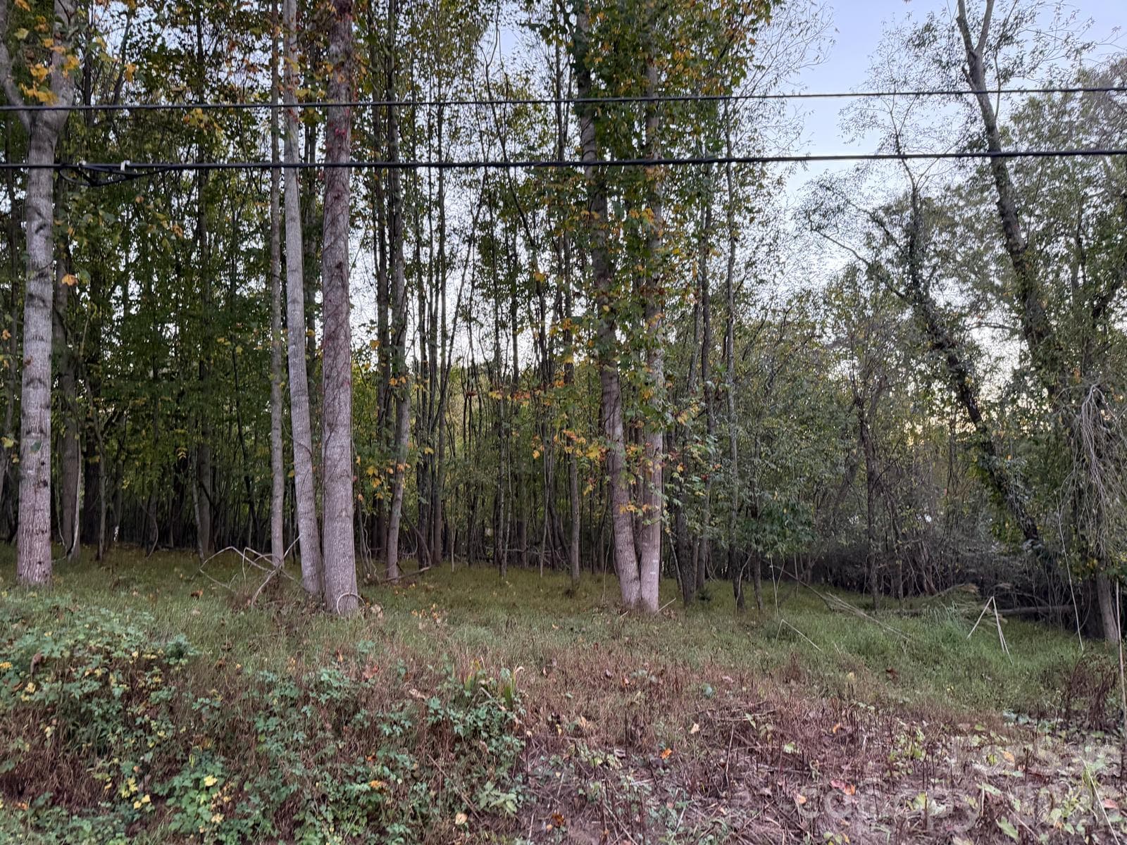 Lot at 0 Sandhurst Drive, Asheville, photo 5 of 15