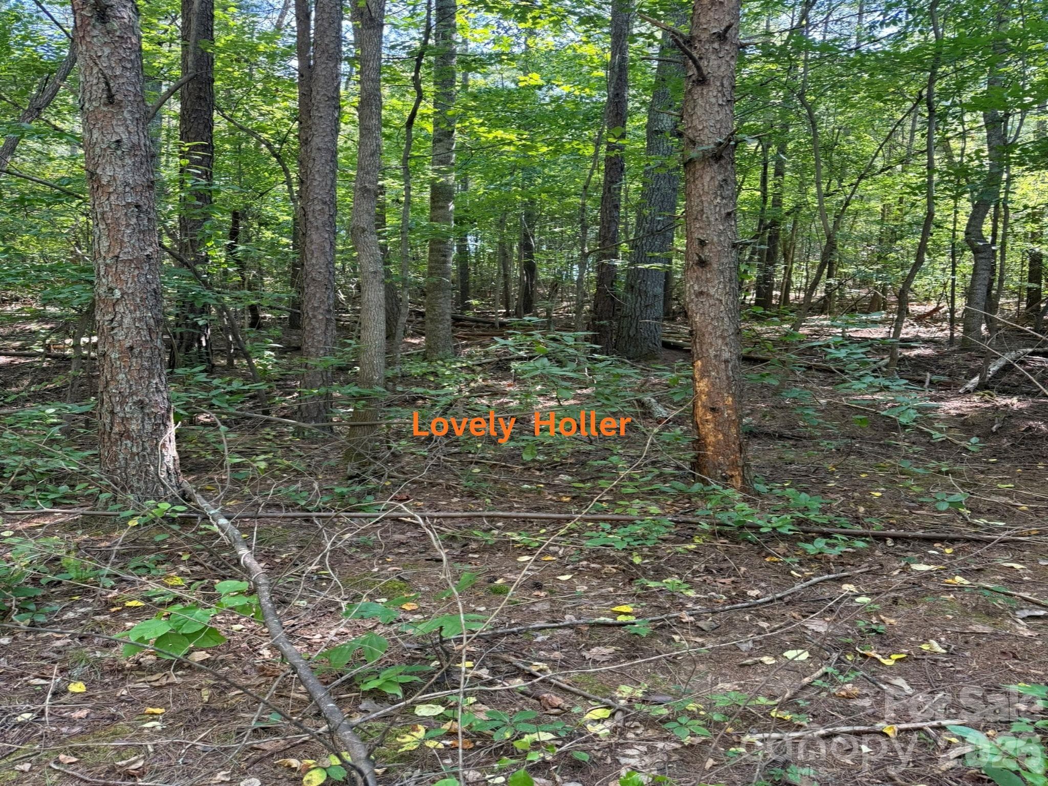 Acreage at 81 Union Chapel Road, Weaverville, photo 7 of 21
