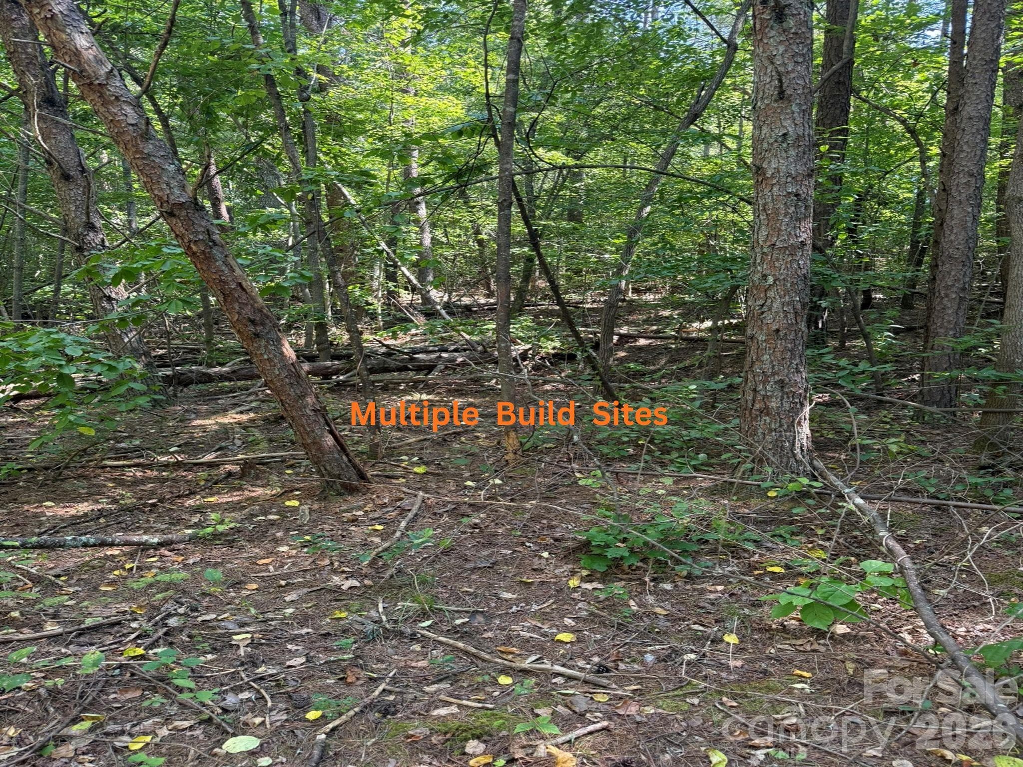 Acreage at 81 Union Chapel Road, Weaverville, photo 9 of 21