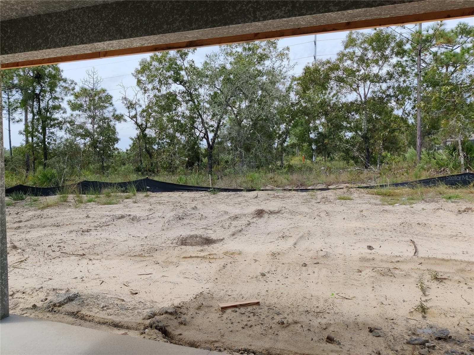 Backyard - 16299 PENN STATE RD, WEEKI WACHEE