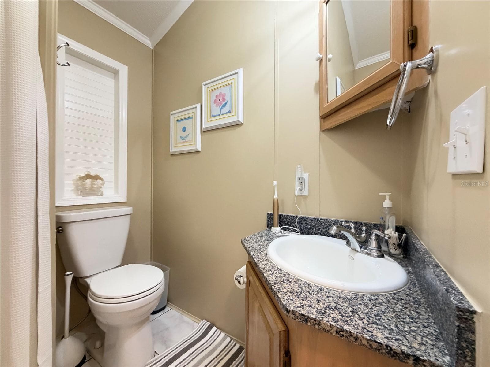 Toilet & Vanity - 35248 TIFFANI CT #Lot 064, ZEPHYRHILLS