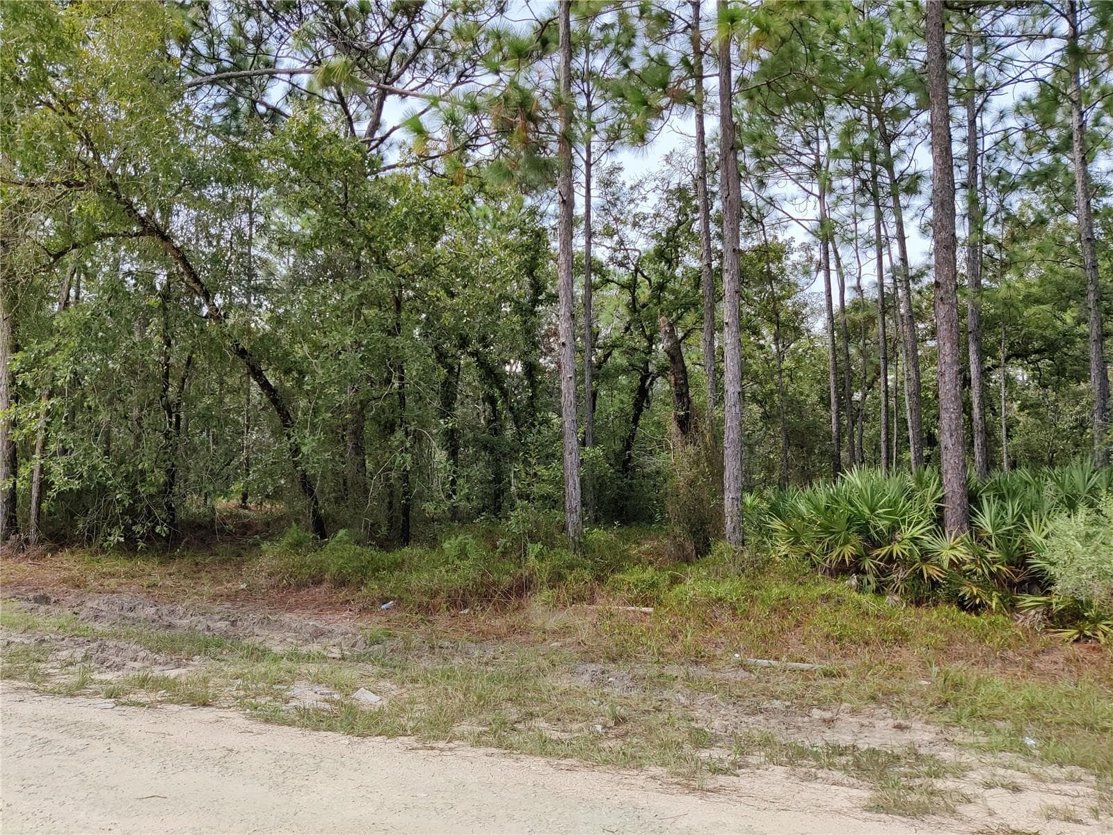 No Neighbor Across the Street - 16122 MALDEN RD, WEEKI WACHEE