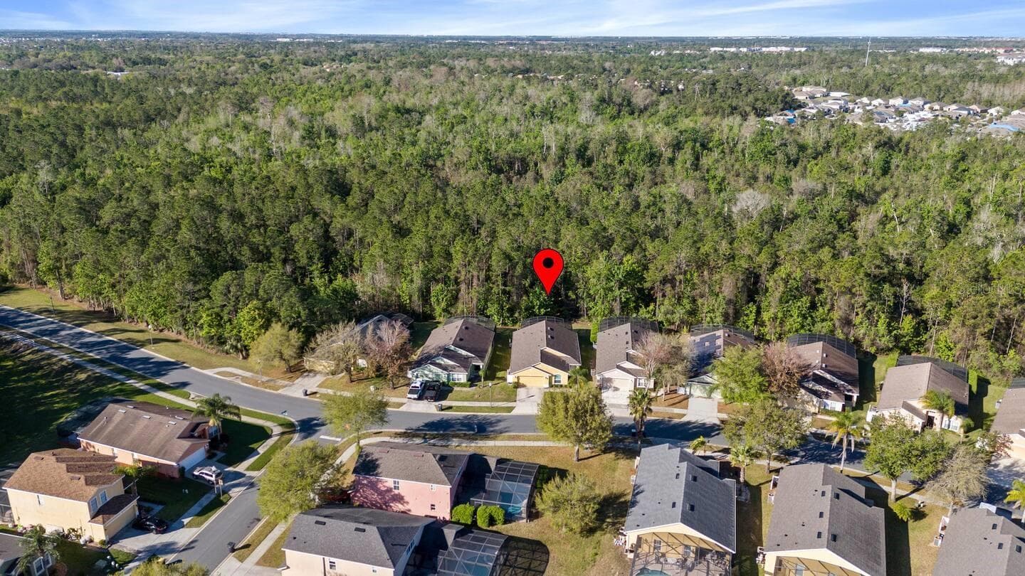 Drone view - 337 SANDY RIDGE DR, DAVENPORT